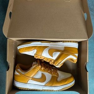 Nike dunk low next natures